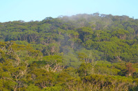 Sinharaja Forest - Southern Entrance